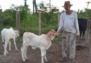 desaparecimento-de-idoso-que-saiu-para-cuidar-do-gado-completa-um-ano-e-familia-cobra-investigacao:-‘nao-tivemos-resposta’,-diz-filha
