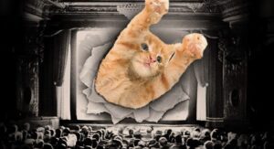 gatofest-estreia-em-sp-com-festival-que-reune-videos-fofos-de-gatinhos,-cinema-ao-ar-livre,-palestras-e-djs;-veja-programacao