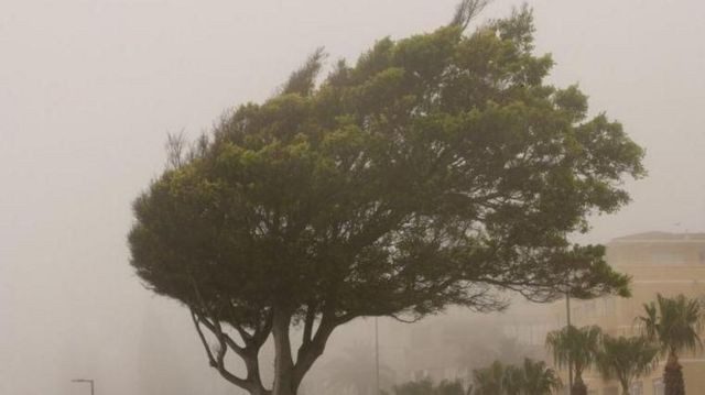 ciclone-extratropical-deve-atingir-rs-no-final-da-semana-com-ventos-e-chuvas-fortes;-saiba-previsao-do-tempo