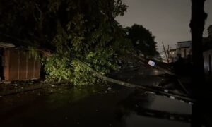 queda-de-arvore-e-alagamentos:-em-menos-de-um-dia,-salvador-registra-76%-do-acumulado-de-chuva-esperado-para-novembro