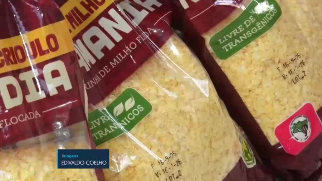 cuscuz-crioulo:-milho-ancestral-plantado-em-caruaru-resiste-ao-tempo-e-conquista-o-mercado-nacional