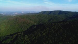 mata-fechada-e-ingreme,-cobras-e-muitos-insetos:-como-e-a-serra-onde-jovem-ficou-desaparecido-por-12-dias-no-interior-de-sp