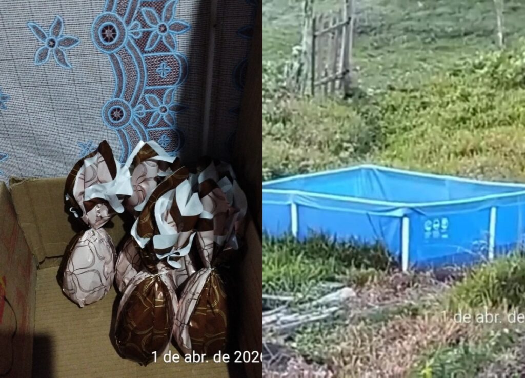 homem-e-preso-suspeito-de-atrair-adolescentes-para-exploracao-sexual-com-ovos-de-pascoa-e-piscina-infantil-em-sc