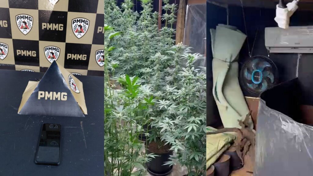 mae-que-levou-sem-querer-policia-ate-estufa-de-maconha-do-filho-tinha-furtado-celular-de-medico-que-a-atendeu