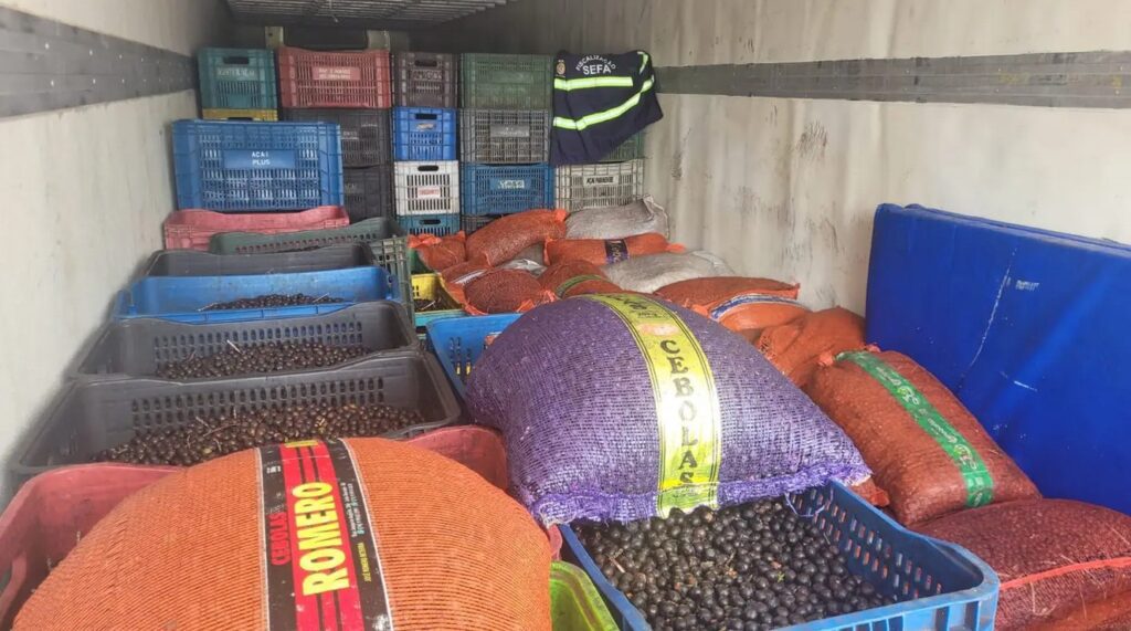 mais-de-43-toneladas-de-acai-irregular-sao-apreendidas-no-para;-carga-vinha-da-bahia-com-destino-a-ananindeua