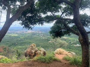 80-anos-da-floresta-do-araripe:-conheca-trilhas-que-fazem-parte-da-primeira-floresta-nacional-do-brasil