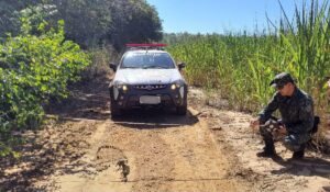 inicio-da-seca-ja-eleva-numero-de-incendios-em-vegetacao-e-ultrapassa-260-casos-em-maio-no-oeste-paulista