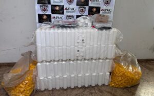 operacao-reacao-adversa:-mpmg-denuncia-25-por-falsificacao-e-venda-de-medicamentos-veterinarios-no-sul-de-mg