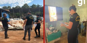 restos-de-feira-e-choques-eletricos:-5-pessoas-sao-resgatadas-de-trabalho-escravo-em-empresa-de-reciclagem-em-mt